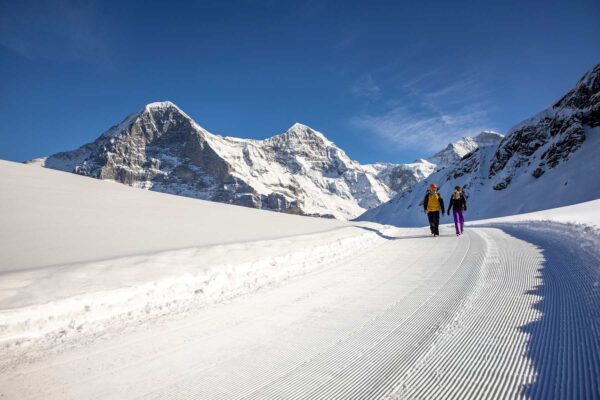 Trilha de inverno na neve com a parede norte do Eiger à direita