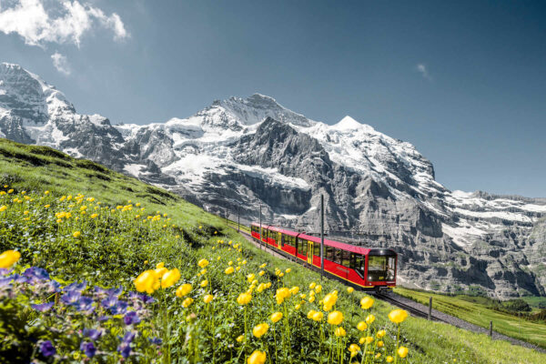 Trem de montanha da região Jungfrau com Mönch e Jungfrau ao fundo no verão